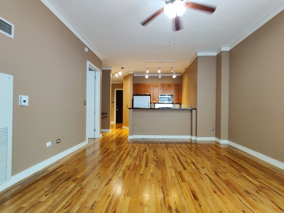 170 W Polk Street 807