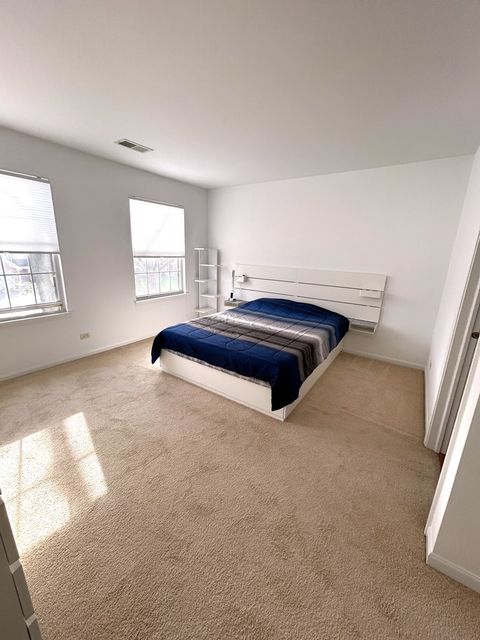 Tiny photo for 356 Fallbrook Court, Schaumburg, IL 60194 (MLS # 12612877)