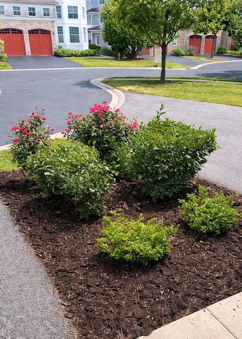 Tiny photo for 21889 W Talia Lane, Deer Park, IL 60010 (MLS # 12616625)