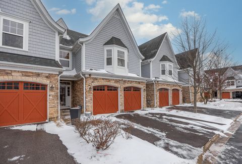 21889 W Talia Lane Deer Park IL 60010