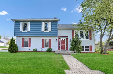 Photo of 439 E Morse Avenue, Bartlett, IL 60103 (MLS # 12628700)