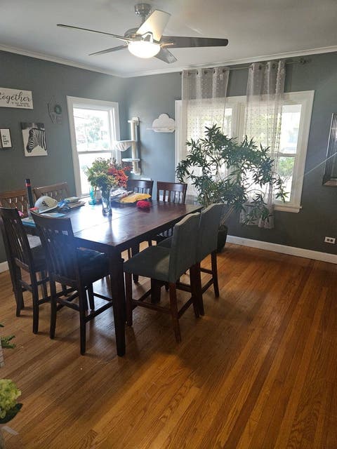 Tiny photo for 411 N 3rd Avenue, Maywood, IL 60153 (MLS # 12684485)