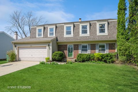 888 Knollwood Drive Buffalo Grove IL 60089