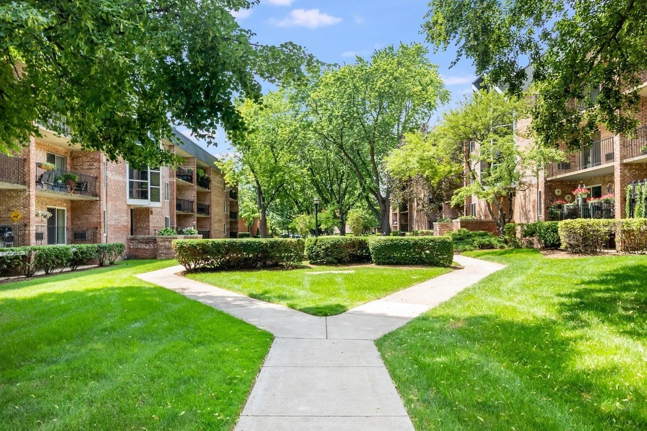 1001 N Mill Street 307 - Photo 3