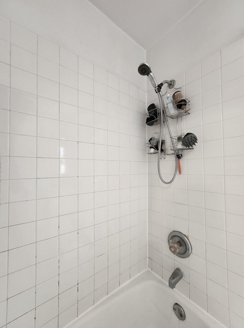 1504 N Dearborn Parkway 306