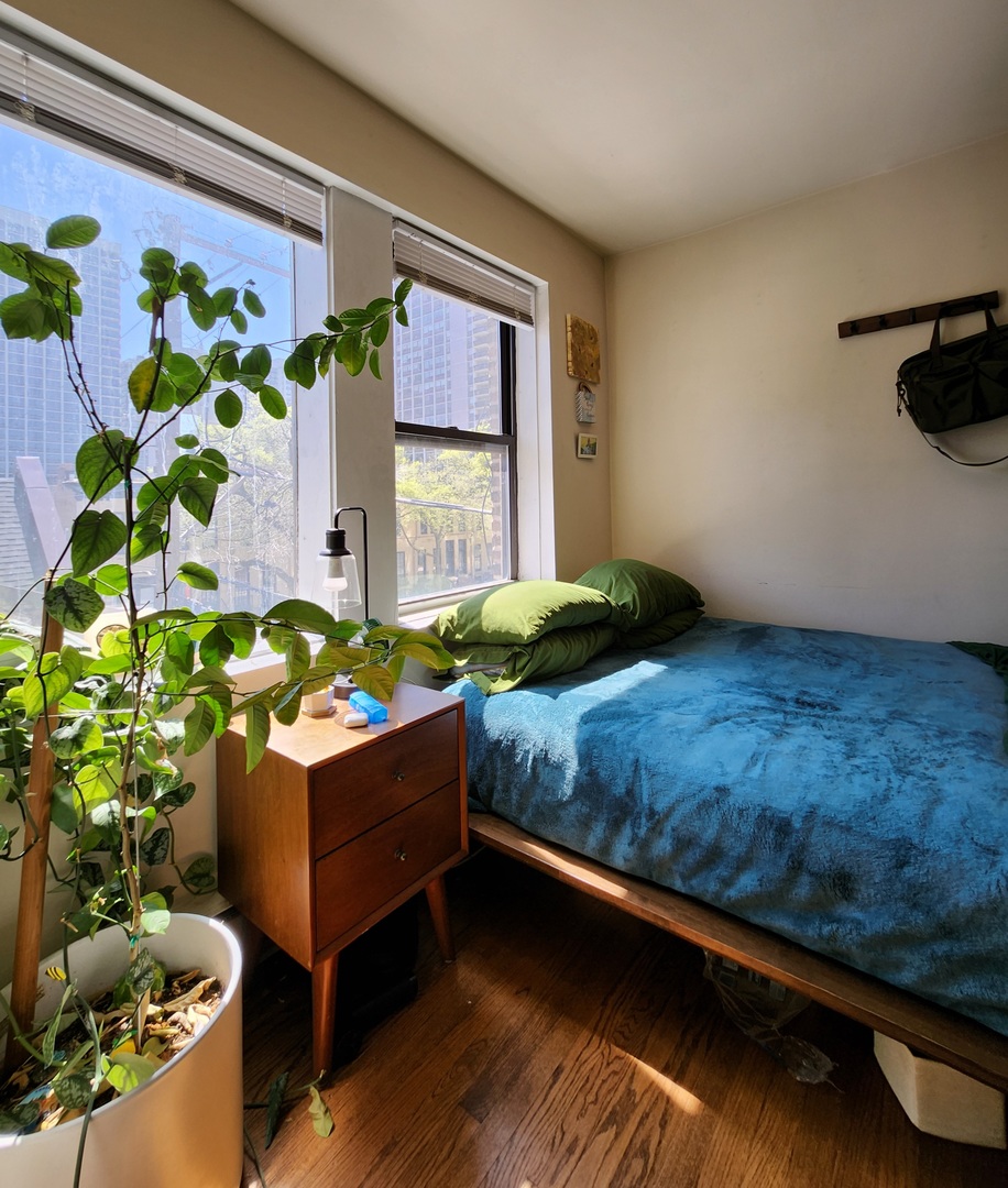 1504 N Dearborn Parkway 306