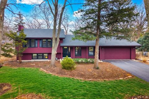 8S295 College Road Naperville IL 60540