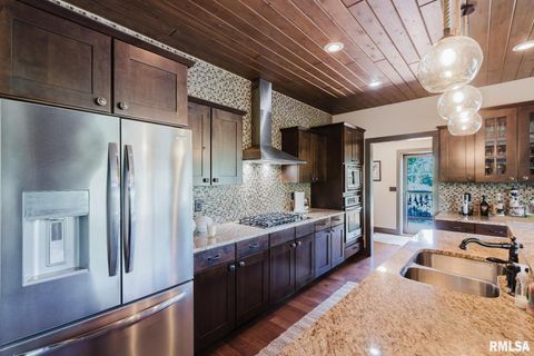 Tiny photo for 3525 Parrish Ridge Lane, Goreville, IL 62939 (MLS # EB458683)