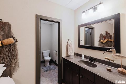 Tiny photo for 3525 Parrish Ridge Lane, Goreville, IL 62939 (MLS # EB458683)