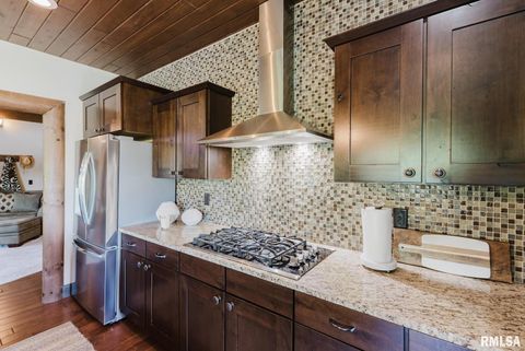 Tiny photo for 3525 Parrish Ridge Lane, Goreville, IL 62939 (MLS # EB458683)