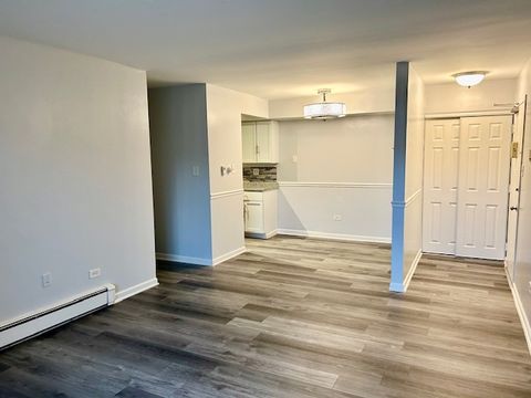 Tiny photo for 2B DUNDEE QUARTER Dr #101, Palatine, IL 60074 (MLS # 12418288)