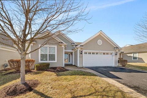 717 Pleasant Drive Shorewood IL 60404