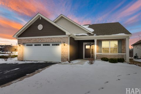 Tiny photo for 1058 Honey Locust Drive, Crystal Lake, IL 60012 (MLS # 12548752)