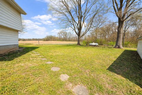 Tiny photo for 3580 Odin Road, Odin, IL 62870 (MLS # 12605508)