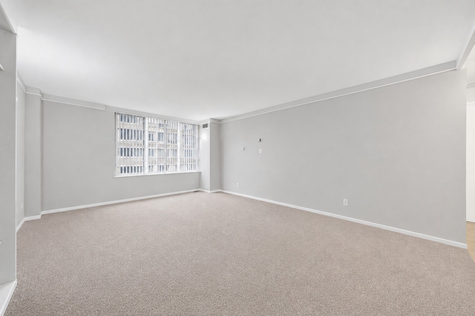 233 E Erie Street 1110