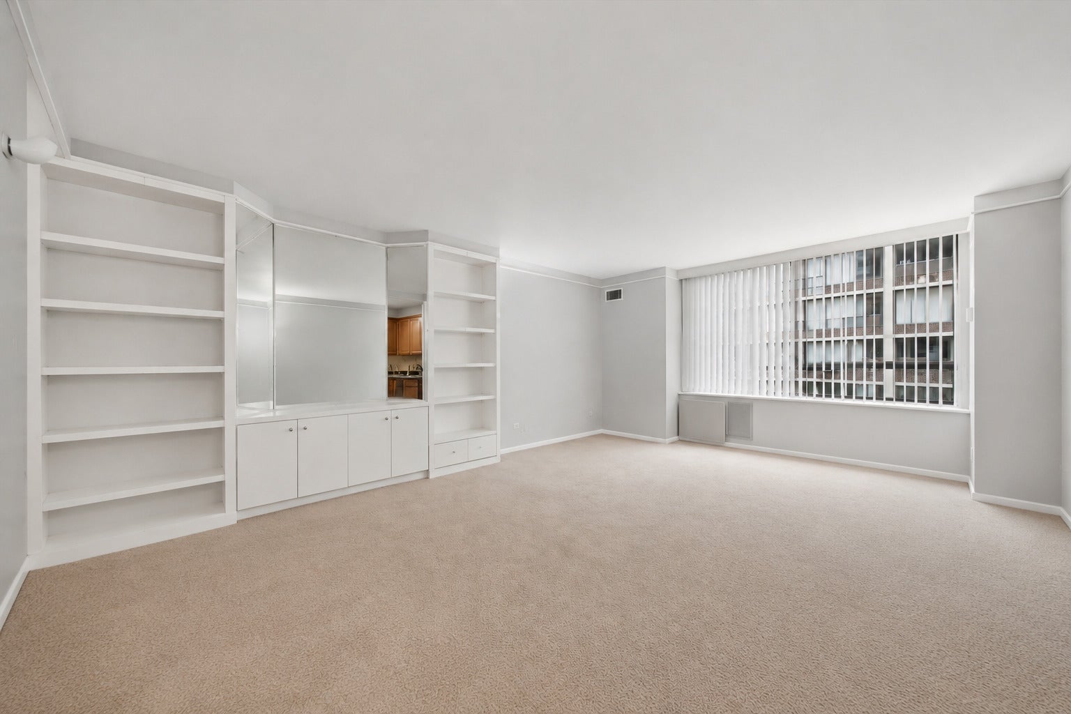 233 E Erie Street 1110