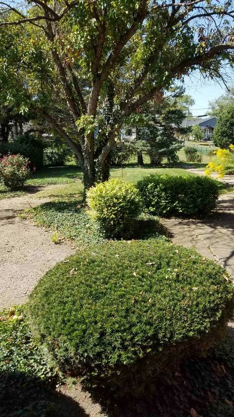 Tiny photo for 426 S Adeline Avenue, Addison, IL 60101 (MLS # 12477189)
