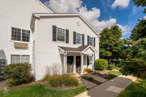 Photo of 1419 Mcclure Road #1419, Aurora, IL 60505 (MLS # 12480563)