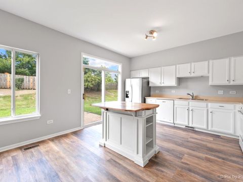 Tiny photo for 3119 HOFFMAN Street, Plano, IL 60545 (MLS # 12461457)