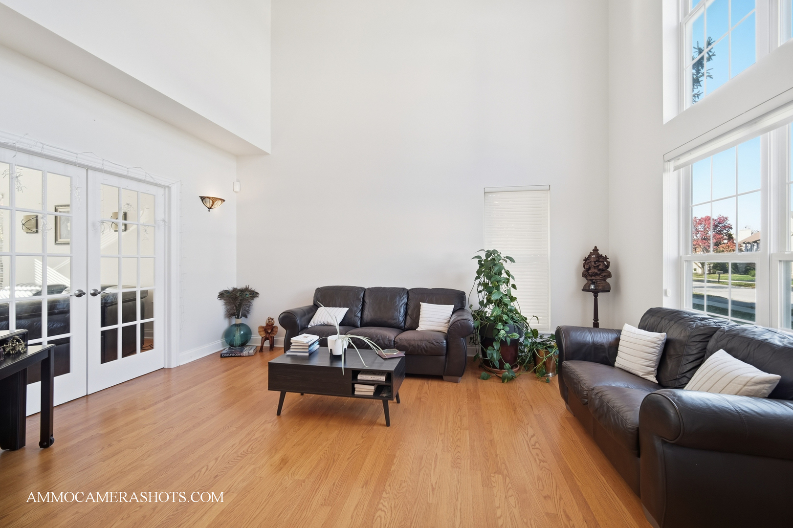 1205 Red Clover Drive