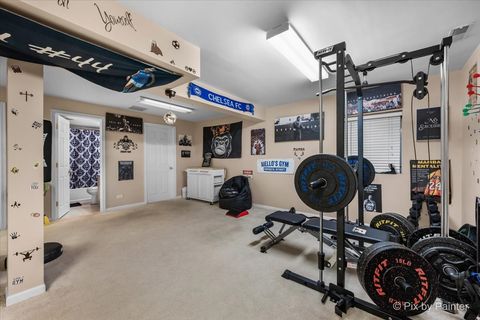 Tiny photo for Lake In The Hills, IL 60156 (MLS # 12523622)