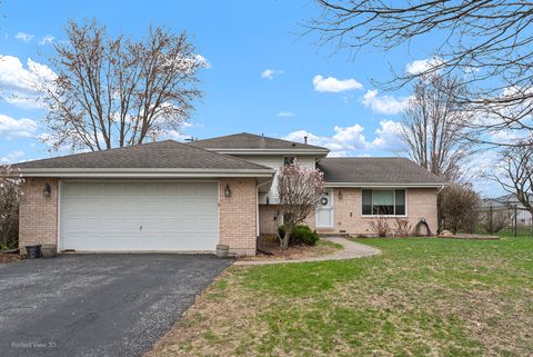 31 Abbey Court New Lenox IL 60451