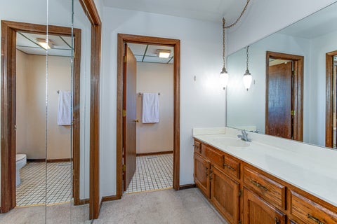 Tiny photo for 16624 Henry Lane, Tinley Park, IL 60477 (MLS # 12699112)