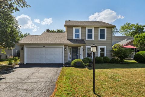 335 FARMHILL Circle Wauconda IL 60084