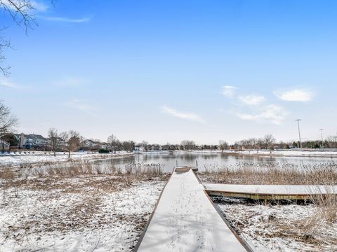 Tiny photo for 113 Dijon Court, Bloomingdale, IL 60108 (MLS # 12596989)