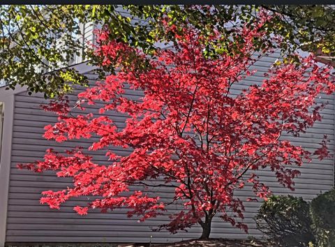 Tiny photo for 1380 Larchmont Drive, Buffalo Grove, IL 60089 (MLS # 12559365)