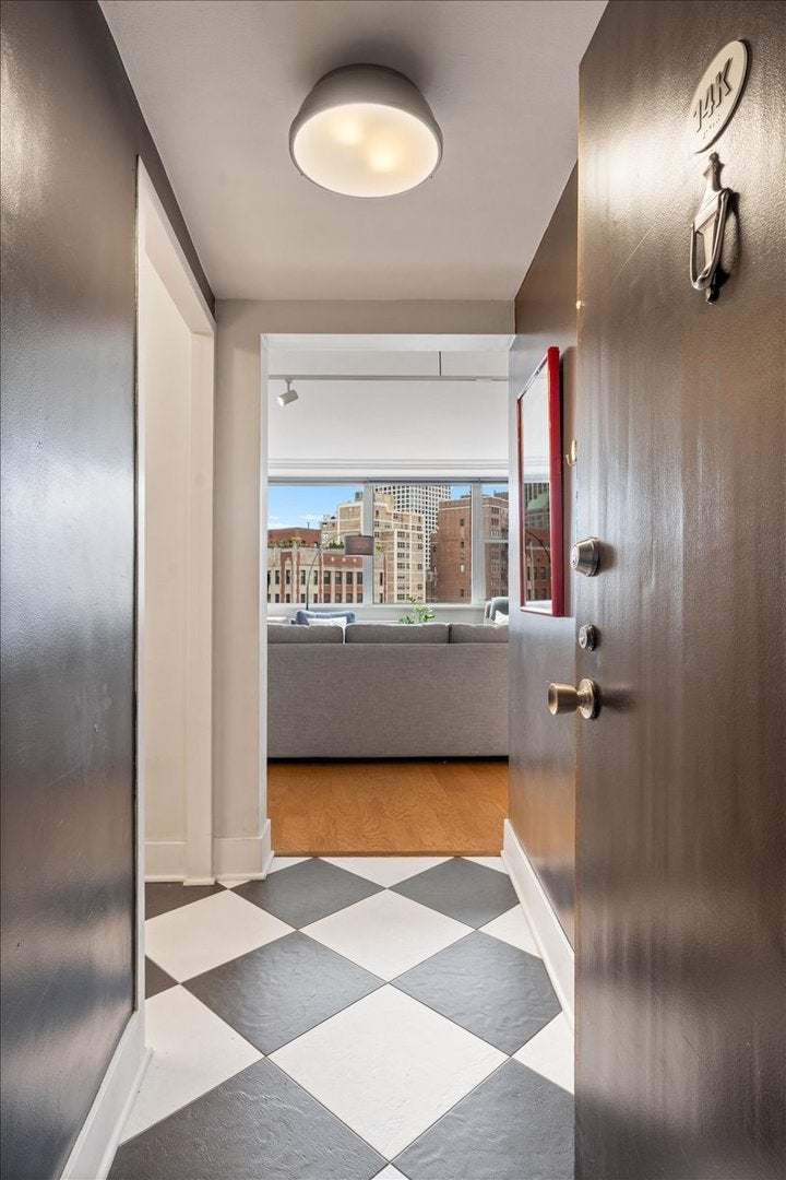 1150 N Lake Shore Drive 14K