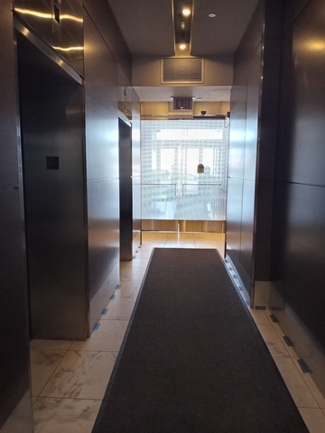 1160 S Michigan Avenue 1104