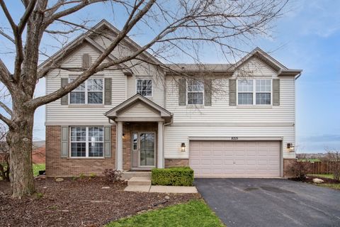 8215 Wild Rose Trail Joliet IL 60431