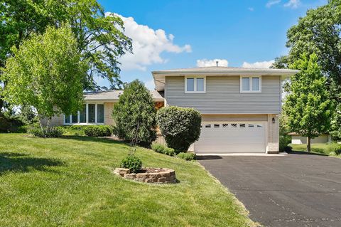 Photo of 1240 117th Street, Lemont, IL 60439 (MLS # 12661940)