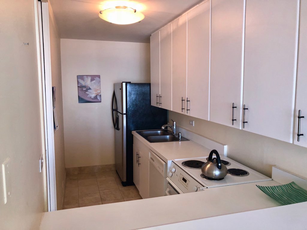 505 N Lake Shore Drive 1508