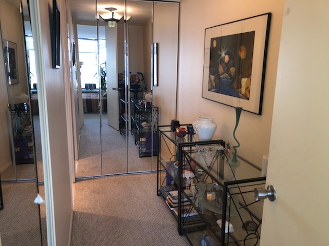 505 N Lake Shore Drive 1508