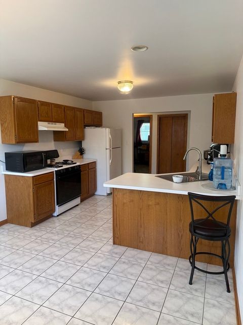 Tiny photo for 188 Cedarwood Drive, Steger, IL 60475 (MLS # 12509275)