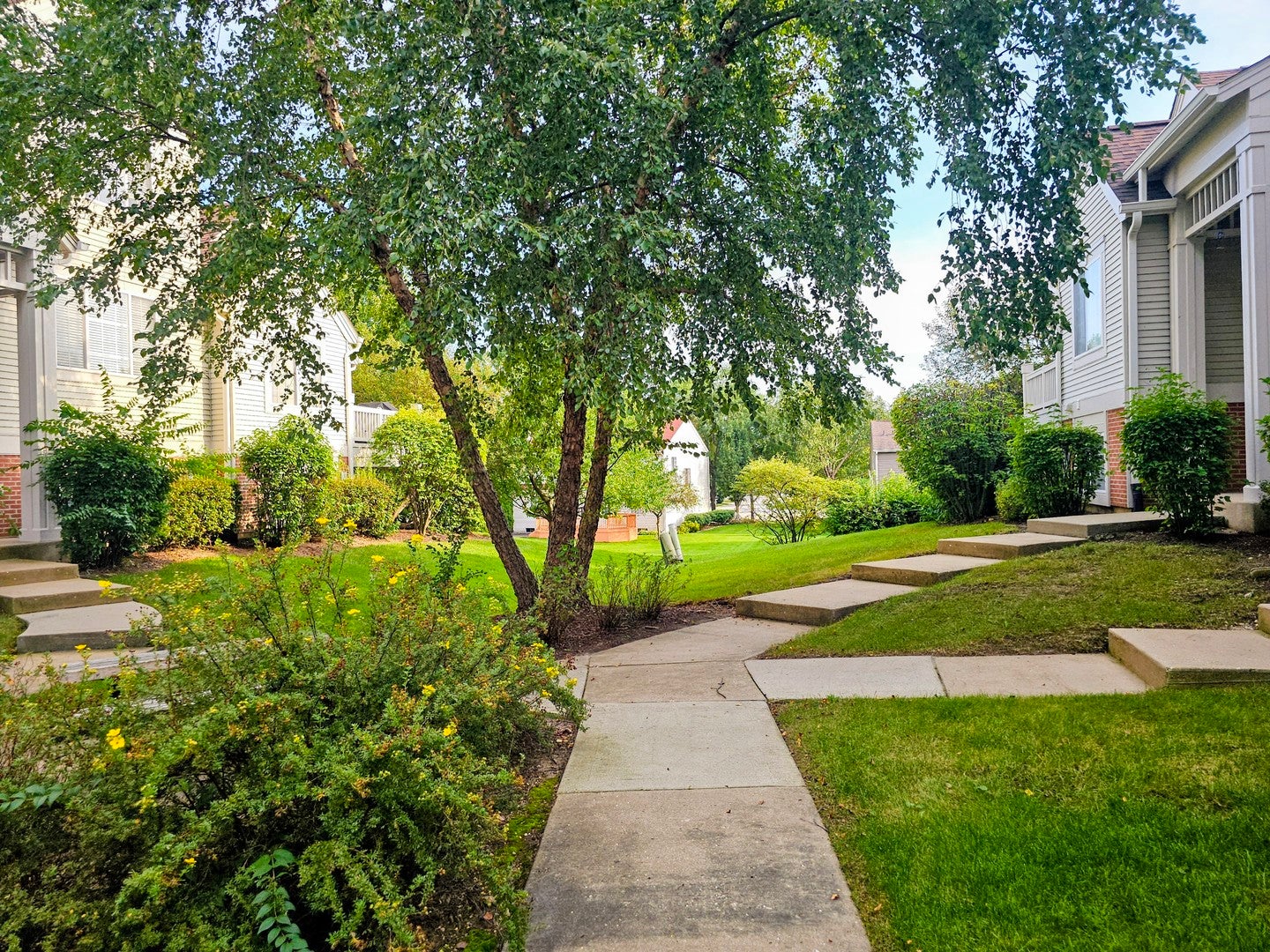 1331 NEW HAVEN Drive
