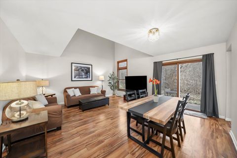 Tiny photo for 144 Spring Court N, Carpentersville, IL 60110 (MLS # 12505917)