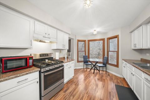 Tiny photo for 144 Spring Court N, Carpentersville, IL 60110 (MLS # 12505917)