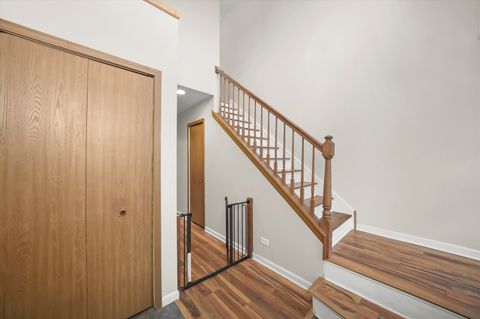 Tiny photo for 144 Spring Court N, Carpentersville, IL 60110 (MLS # 12505917)