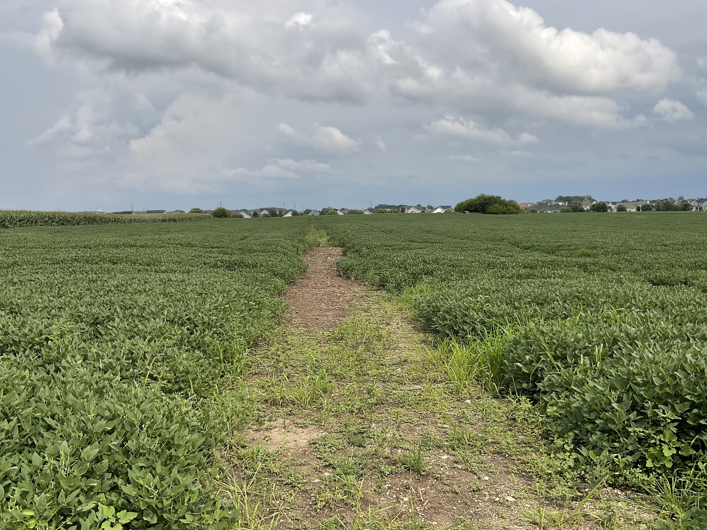10.38 acres S Heggs Road