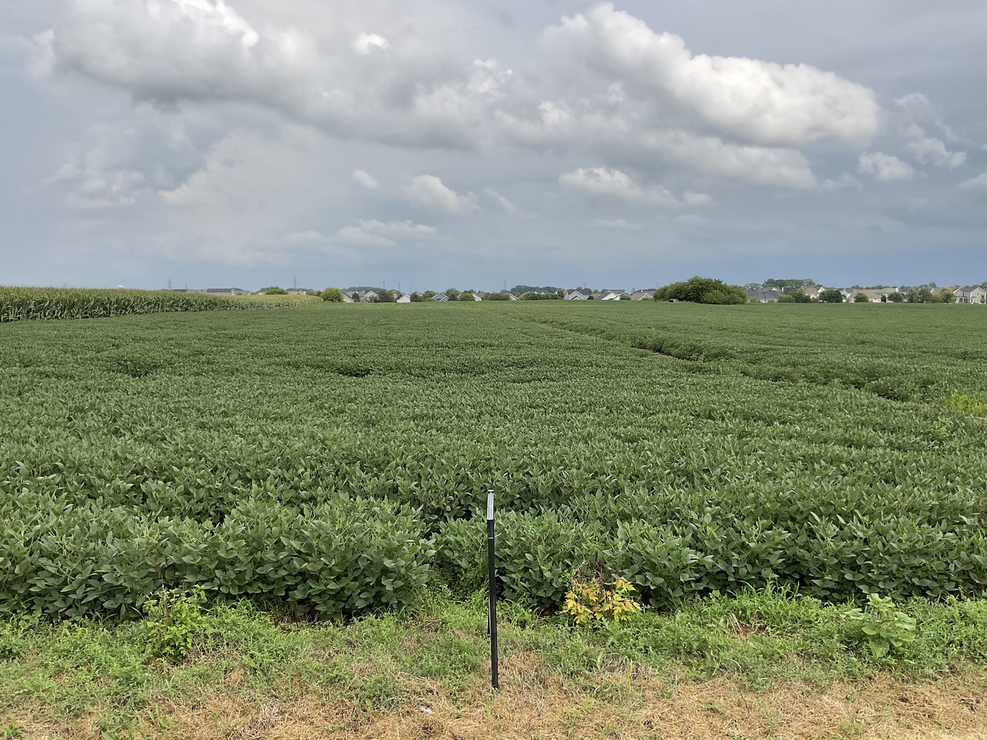 10.38 acres S Heggs Road
