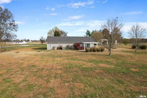 Tiny photo for 21 BROOKSIDE Lane, Desoto, IL 62924 (MLS # EB460477)