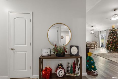 Tiny photo for 21 BROOKSIDE Lane, Desoto, IL 62924 (MLS # EB460477)