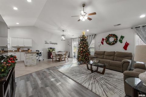 Tiny photo for 21 BROOKSIDE Lane, Desoto, IL 62924 (MLS # EB460477)