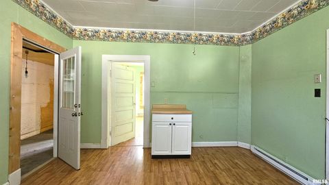 Tiny photo for 1313 N NEWTON Avenue, Johnston City, IL 62951 (MLS # EB460059)