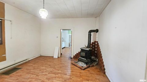 Tiny photo for 1313 N NEWTON Avenue, Johnston City, IL 62951 (MLS # EB460059)