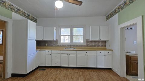 Tiny photo for 1313 N NEWTON Avenue, Johnston City, IL 62951 (MLS # EB460059)