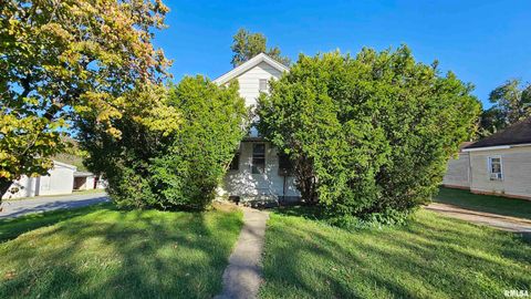 Tiny photo for 1313 N NEWTON Avenue, Johnston City, IL 62951 (MLS # EB460059)